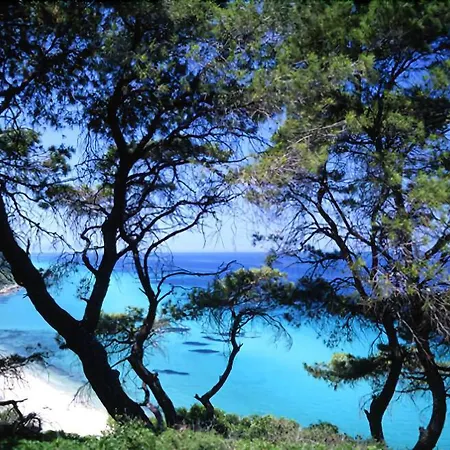 Margarita Sea Side 4*