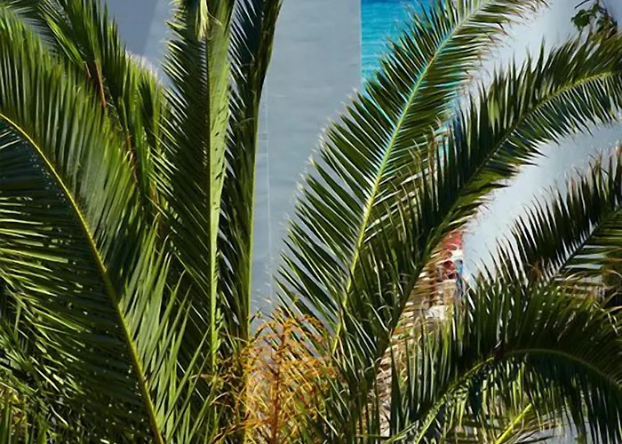 Otel Margarita Sea Side 4*
