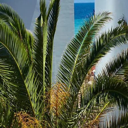Hotel Margarita Sea Side 4*